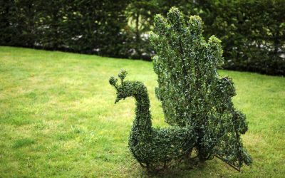 Topiaries